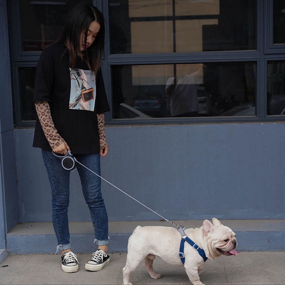 Retractable dog leash - Picture 4 of 4